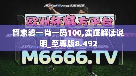 管家婆一肖一码100,实证解读说明_至尊版8.492