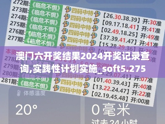 澳门六开奖结果2024开奖记录查询,实践性计划实施_soft5.275