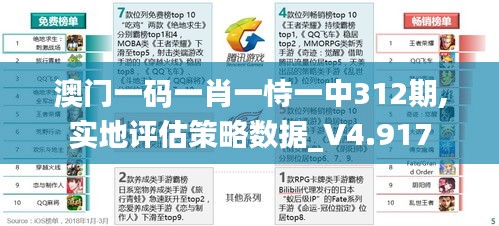 澳门一码一肖一恃一中312期,实地评估策略数据_V4.917