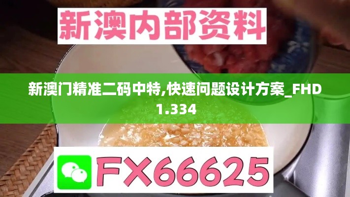 新澳门精准二码中特,快速问题设计方案_FHD1.334