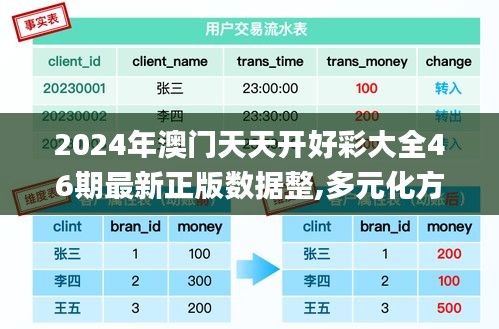 2024年澳门天天开好彩大全46期最新正版数据整,多元化方案执行策略_升级版10.341