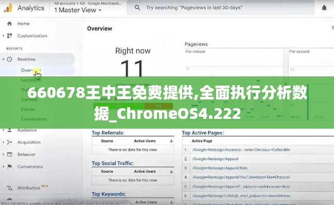 660678王中王免费提供,全面执行分析数据_ChromeOS4.222