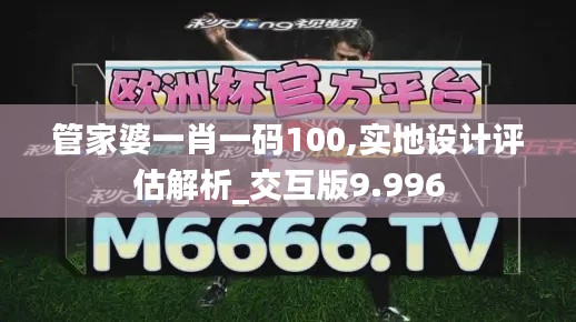 管家婆一肖一码100,实地设计评估解析_交互版9.996