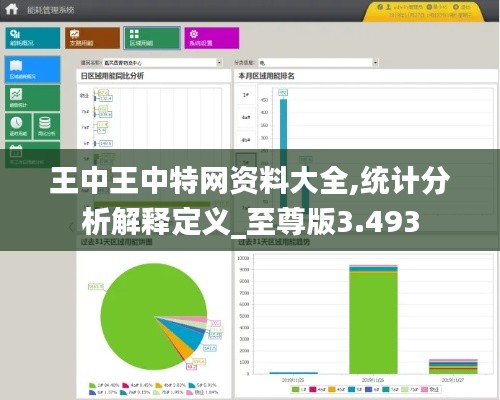 王中王中特网资料大全,统计分析解释定义_至尊版3.493