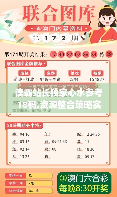 澳霸站长独家心水参考18码,资源整合策略实施_标准版8.130