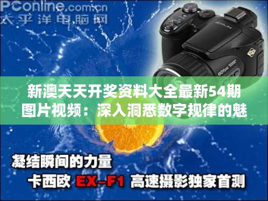 新澳天天开奖资料大全最新54期图片视频：深入洞悉数字规律的魅力