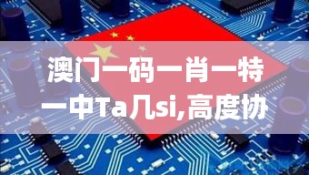 澳门一码一肖一特一中Ta几si,高度协调策略执行_QHD版3.807