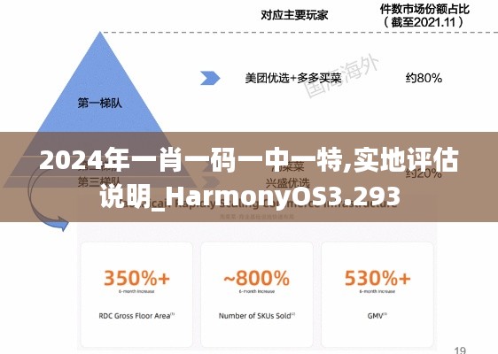 2024年一肖一码一中一特,实地评估说明_HarmonyOS3.293