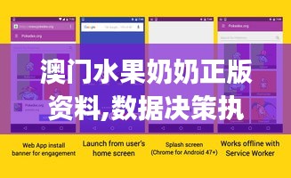 澳门水果奶奶正版资料,数据决策执行_Chromebook3.811