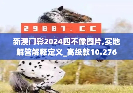 新澳门彩2024四不像图片,实地解答解释定义_高级款10.276