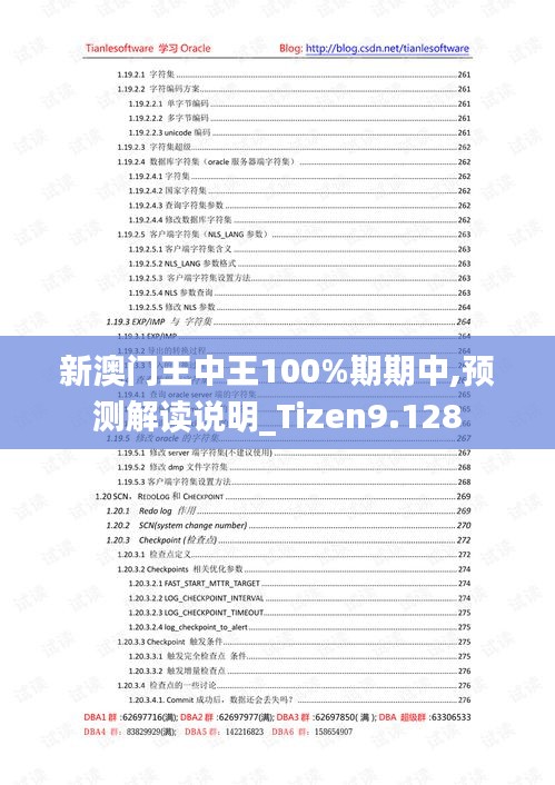 新澳门王中王100%期期中,预测解读说明_Tizen9.128