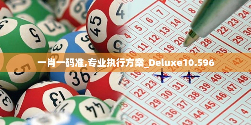 一肖一码准,专业执行方案_Deluxe10.596