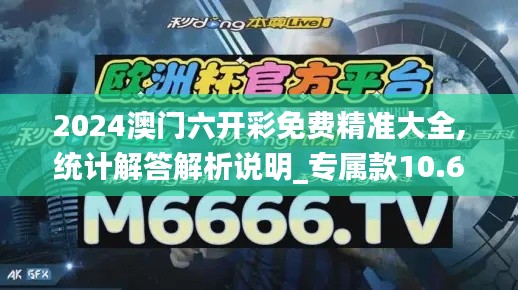 2024澳门六开彩免费精准大全,统计解答解析说明_专属款10.670