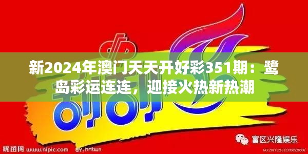 新2024年澳门天天开好彩351期：鹭岛彩运连连，迎接火热新热潮