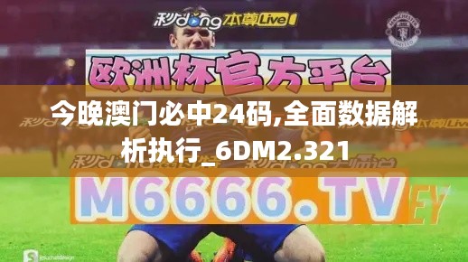 今晚澳门必中24码,全面数据解析执行_6DM2.321