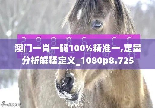 澳门一肖一码100%精准一,定量分析解释定义_1080p8.725