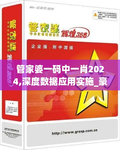 管家婆一码中一肖2024,深度数据应用实施_豪华款9.683