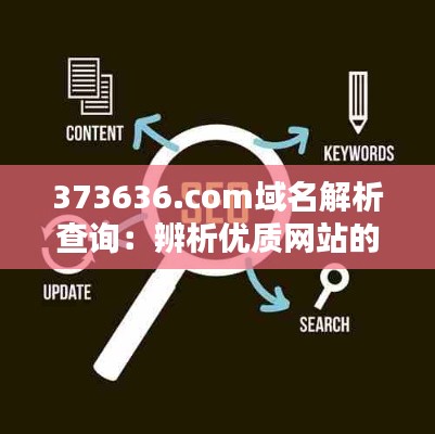 373636.com域名解析查询：辨析优质网站的关键步骤