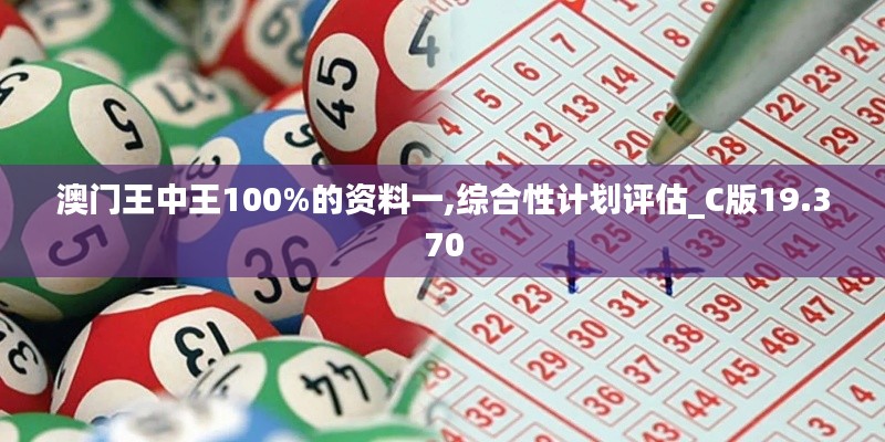 澳门王中王100%的资料一,综合性计划评估_C版19.370