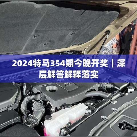 2024特马354期今晚开奖｜深层解答解释落实